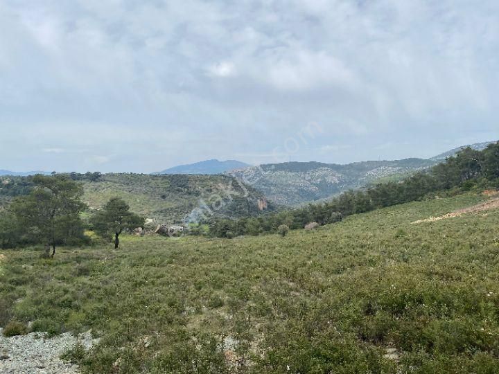 İzmir Selçuk Şirincede İster Çiflik İster Otel Yapın İmarlı Arazi - Görsel 17