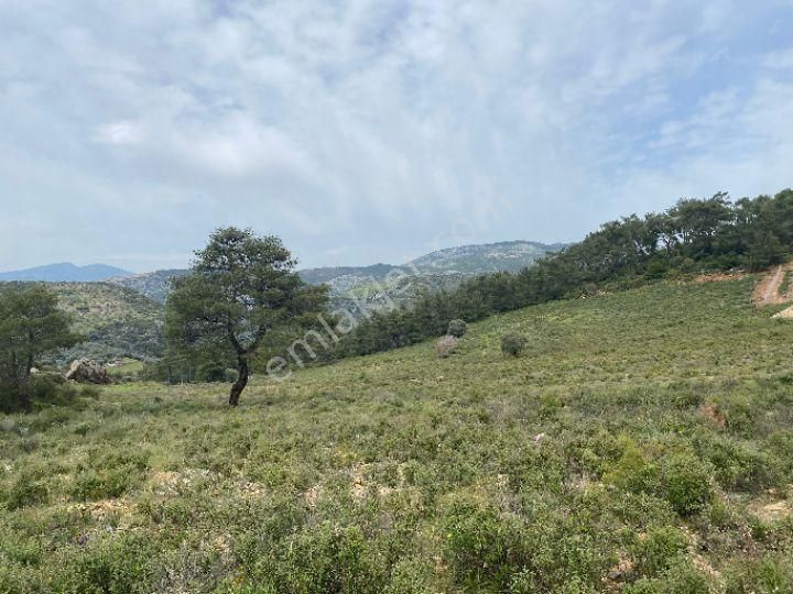 İzmir Selçuk Şirincede İster Çiflik İster Otel Yapın İmarlı Arazi - Görsel 12