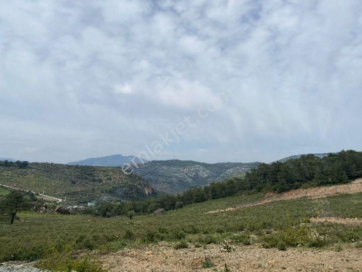 İzmir Selçuk Şirincede İster Çiflik İster Otel Yapın İmarlı Arazi - Görsel 18