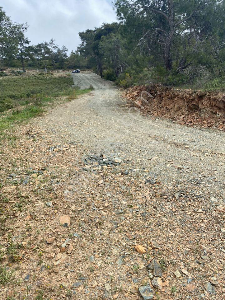 İzmir Selçuk Şirincede İster Çiflik İster Otel Yapın İmarlı Arazi - Görsel 4