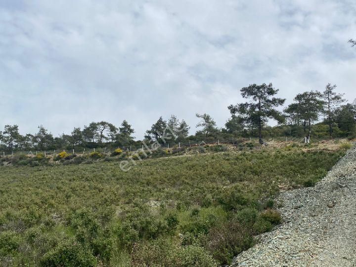 İzmir Selçuk Şirincede İster Çiflik İster Otel Yapın İmarlı Arazi - Görsel 14