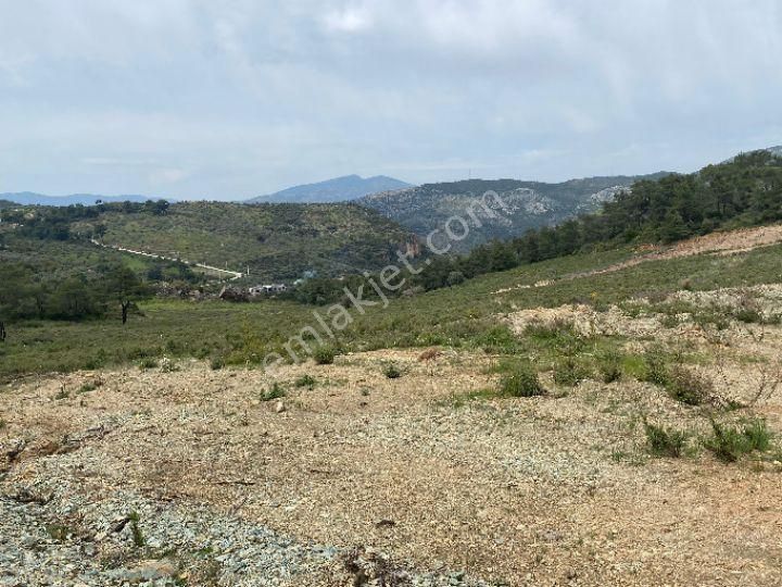 İzmir Selçuk Şirincede İster Çiflik İster Otel Yapın İmarlı Arazi - Görsel 19