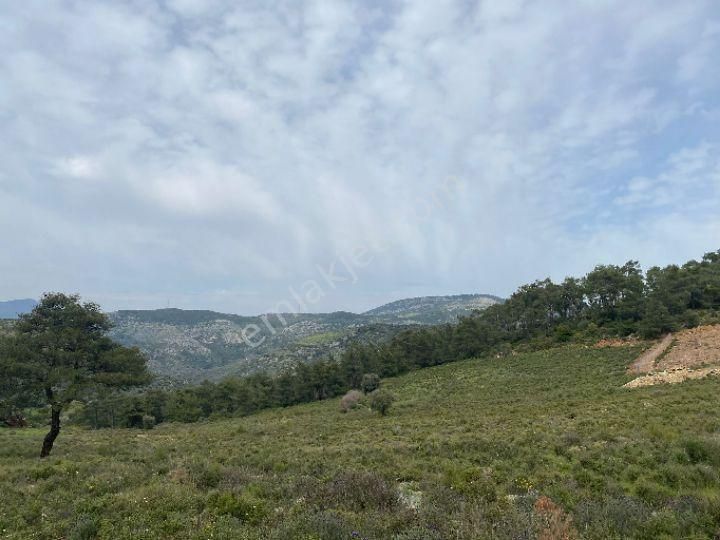 İzmir Selçuk Şirincede İster Çiflik İster Otel Yapın İmarlı Arazi - Görsel 16