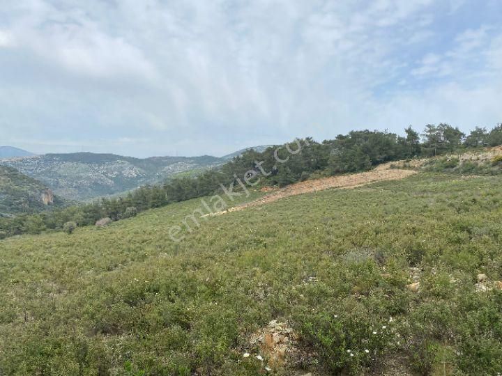 İzmir Selçuk Şirincede İster Çiflik İster Otel Yapın İmarlı Arazi - Görsel 6