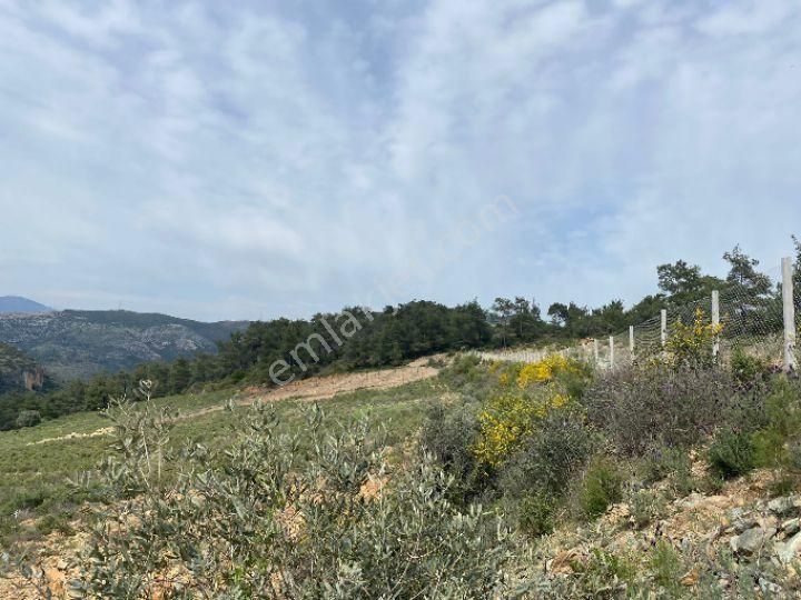 İzmir Selçuk Şirincede İster Çiflik İster Otel Yapın İmarlı Arazi - Görsel 5