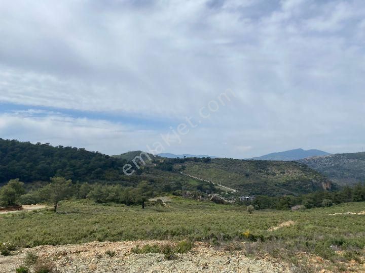 İzmir Selçuk Şirincede İster Çiflik İster Otel Yapın İmarlı Arazi - Görsel 13