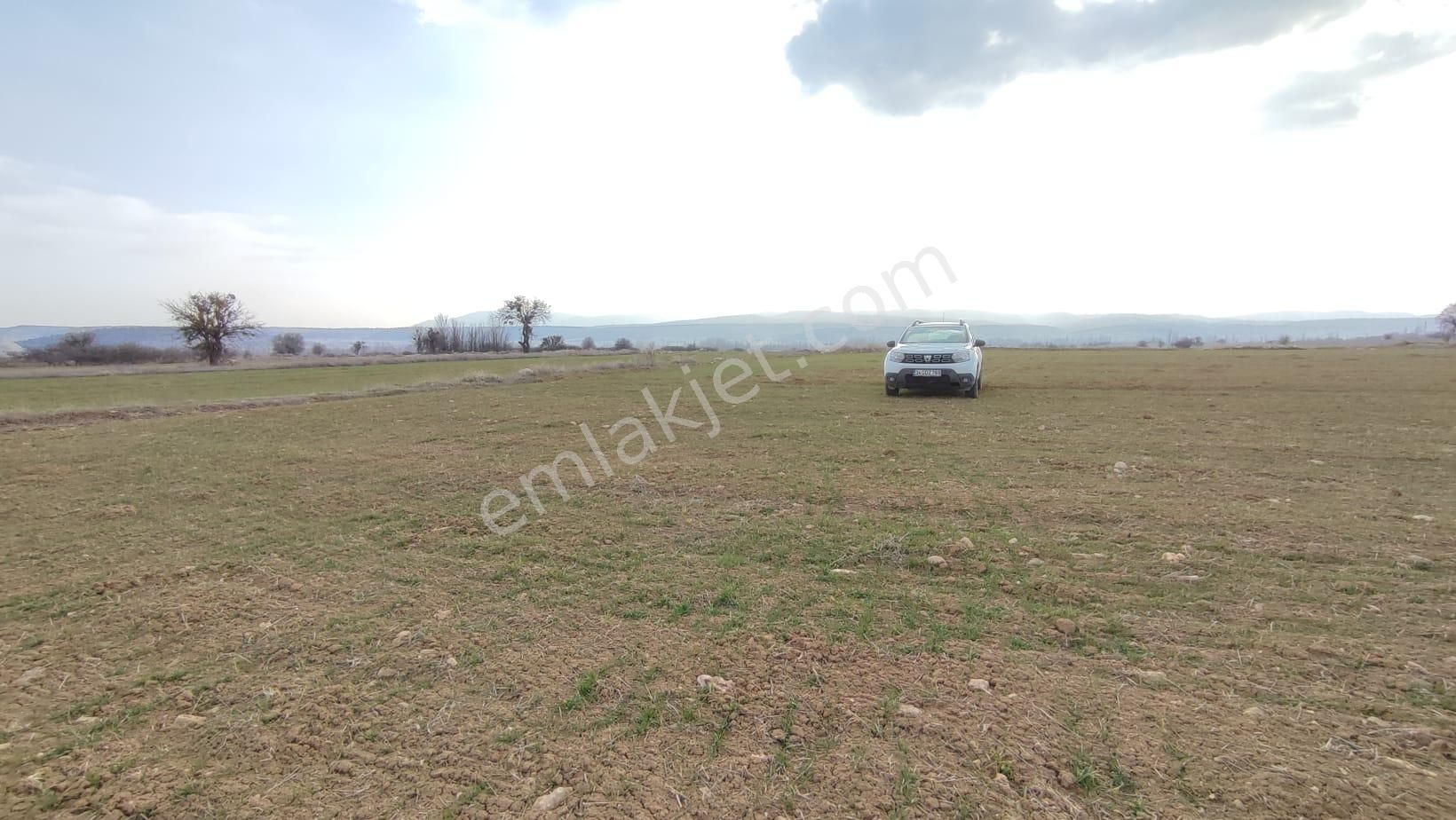 https://imaj.emlakjet.com/listing/13086658/251CE20730E5FB67F628B521C1BA55EC13086658.jpg