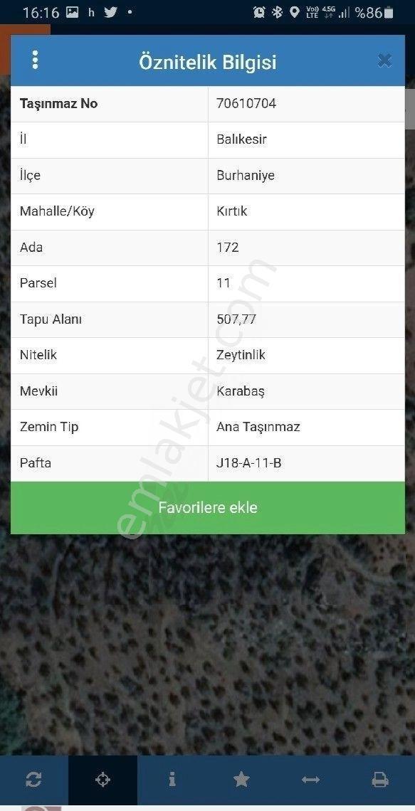 Kelepir Fiyata Kaçırılmayacak Kırtık Da Zeytinlik - Görsel 6