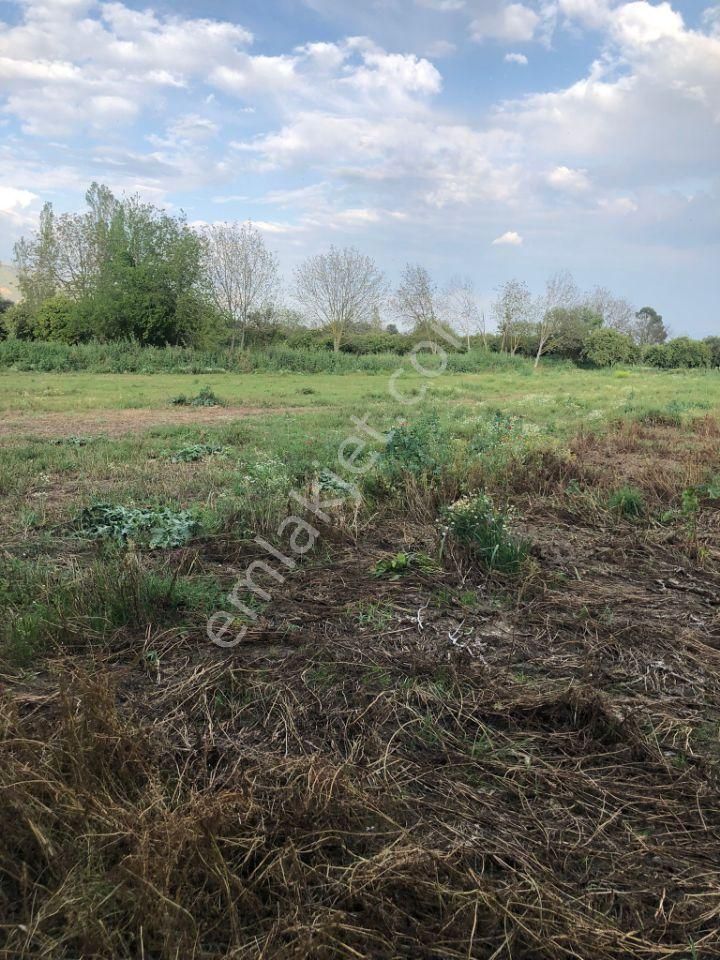 Demir Emlaktan Yalinkuyu Mh (5000 M2) Satılık Arsa - Görsel 8