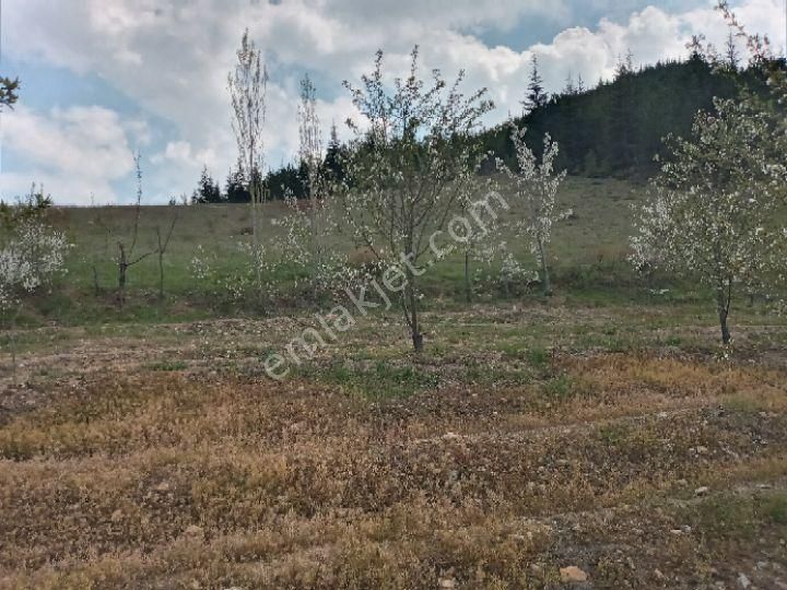 Dağlı Emlaktan Ilıcak Eski Adıyla Elevres Mshalesinde - Görsel 27