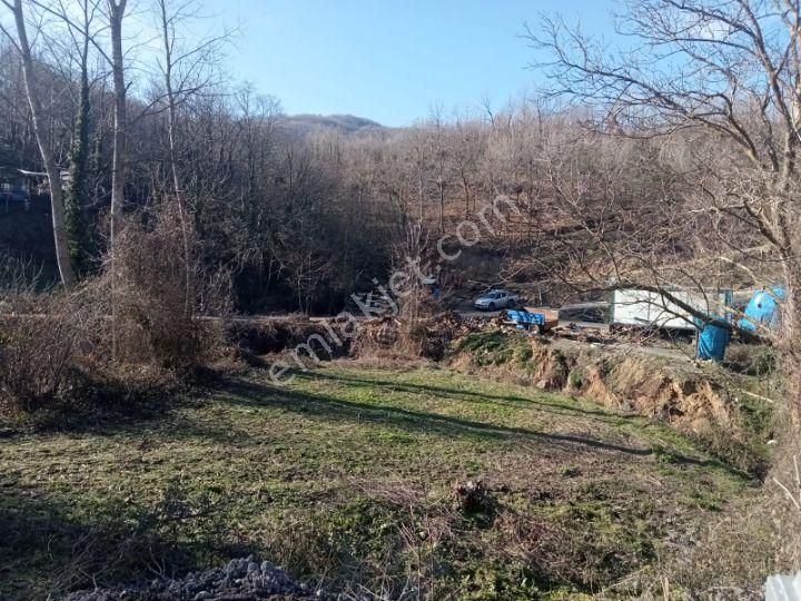 Çiftlikköy Burhaniye Köyü Satılık Bağ & Bahçe SATILIK  YATIRIMLIK TARLA 