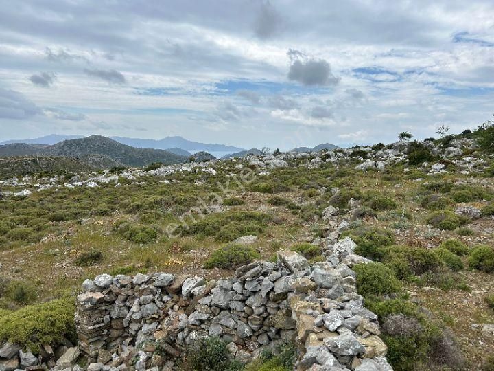 Marmaris Selimiye Satılık Tarla Marmaris Lider Emlak selimiyeden deniz manzaralı yol sorunu olmayan satilik tarla 