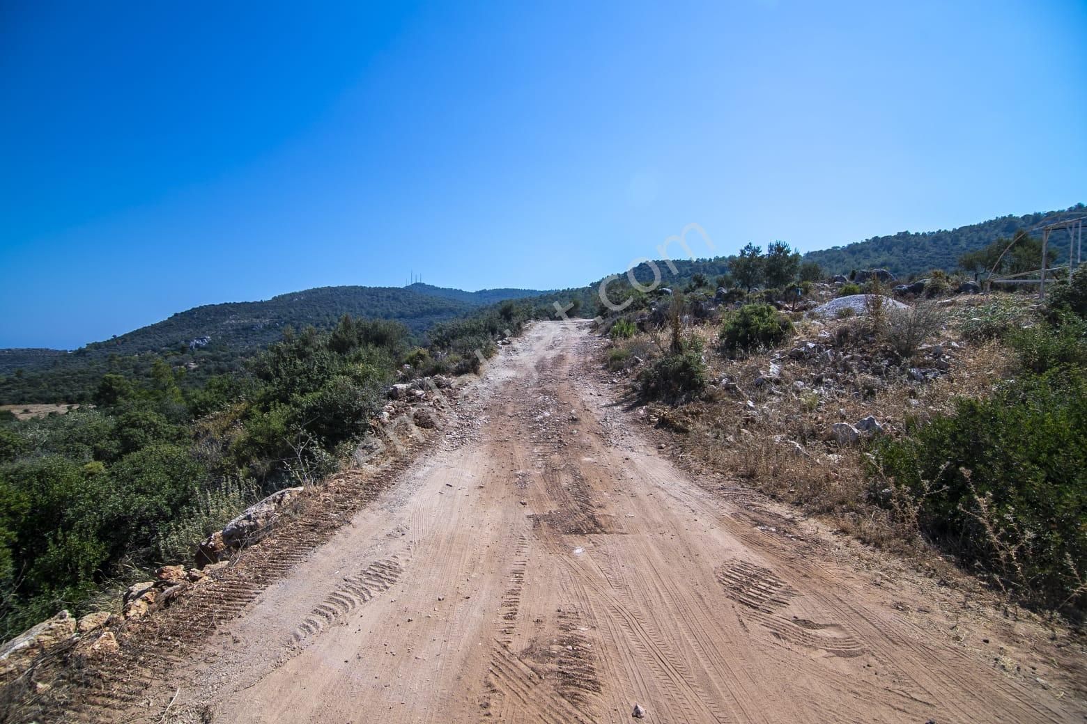 Yeşilköy Satılık Villa - Görsel 15