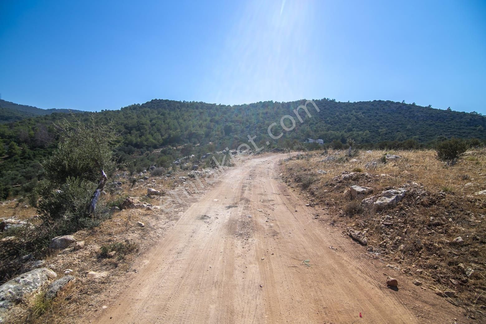 Yeşilköy Satılık Villa - Görsel 23