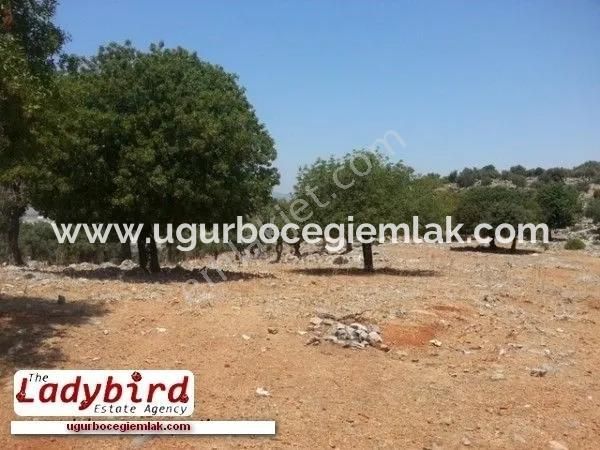 Dalaman İncebel Mevkisinde Satılık 452 M2 Arsa - Görsel 3