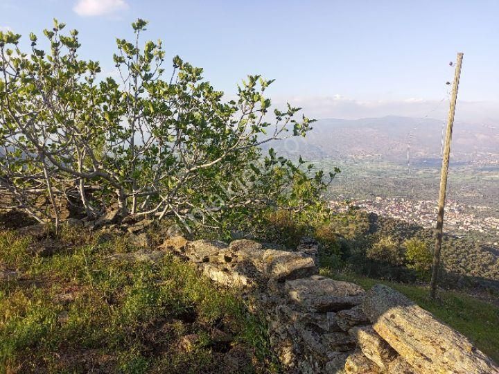 Bozdoğan Hıdırbaba Satılık Konut İmarlı LİDERDEN BOZDOĞAN MADRAN MANZARALI YAYLADA 376 m2 SATILIK VİLLALIK ARSA