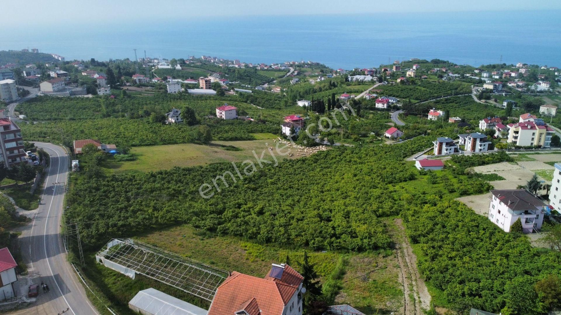 Ortahisar Akyazı Satılık Villa İmarlı TRABZON AKYAZI'DA HARİKA KONUMDA, MANZARALI, SATILIK ARSA.