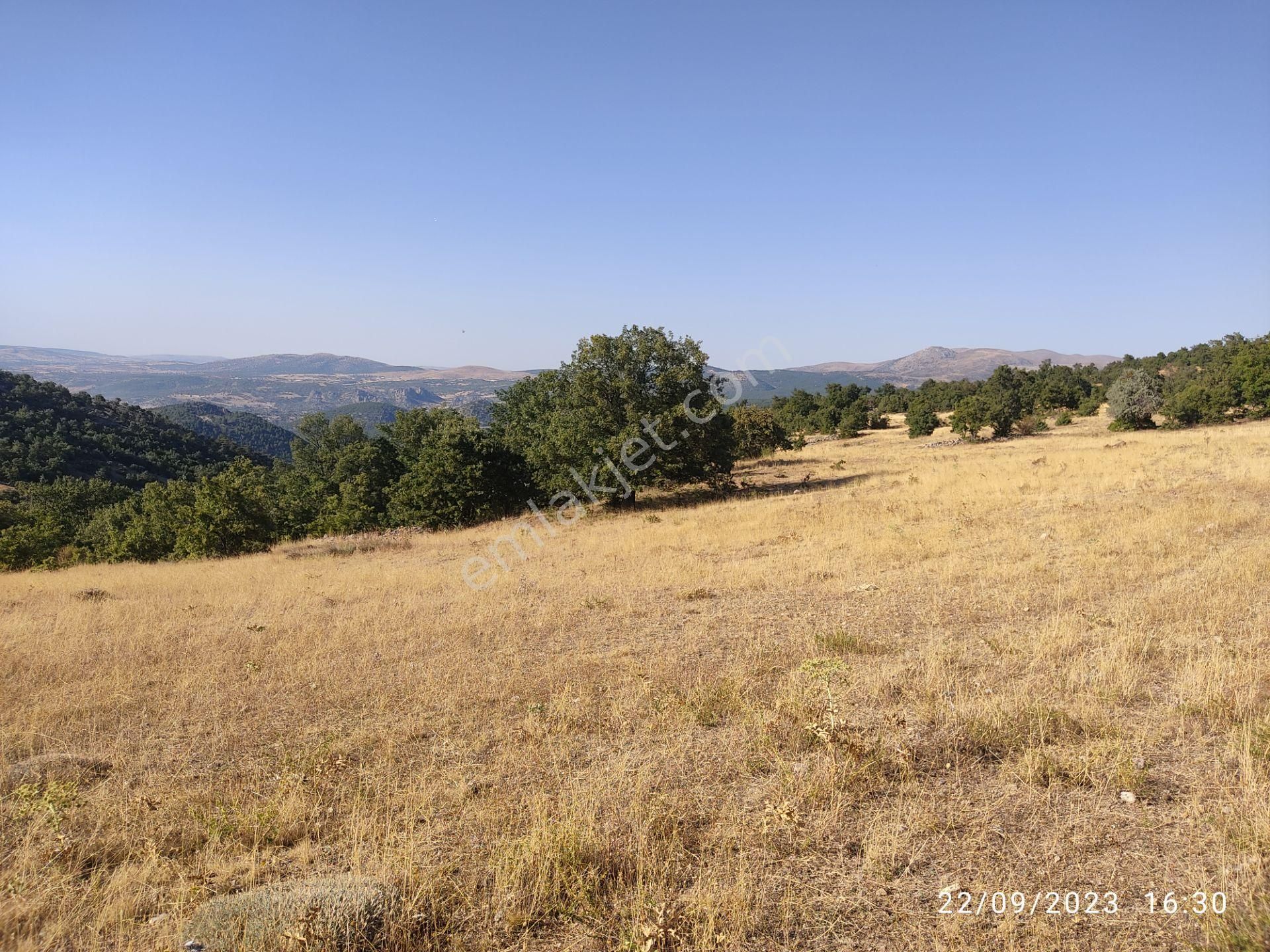 Sağlıkda Hazine Arazisine Yakın 5735m2 Müstakil Tapulu Arsa-arazi - Görsel 8
