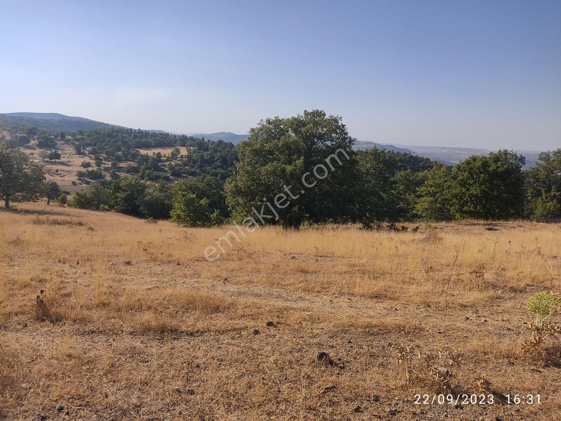 Sağlıkda Hazine Arazisine Yakın 5735m2 Müstakil Tapulu Arsa-arazi - Görsel 16