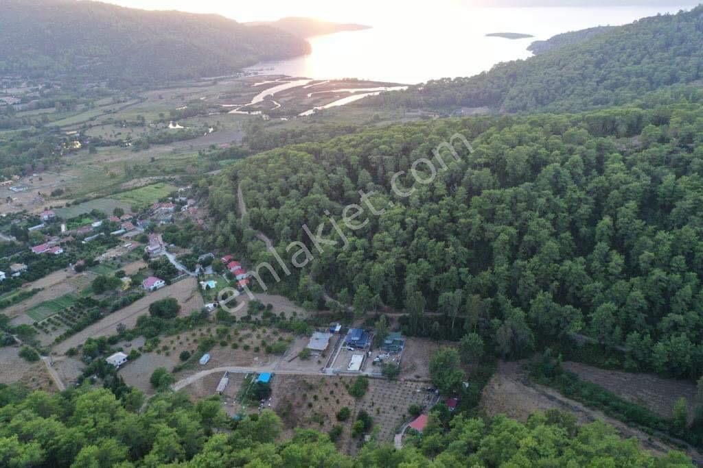 Muğla Marmaris Çamlı Köyünde 2.228m2 Satılık Tarla+ev - Görsel 5