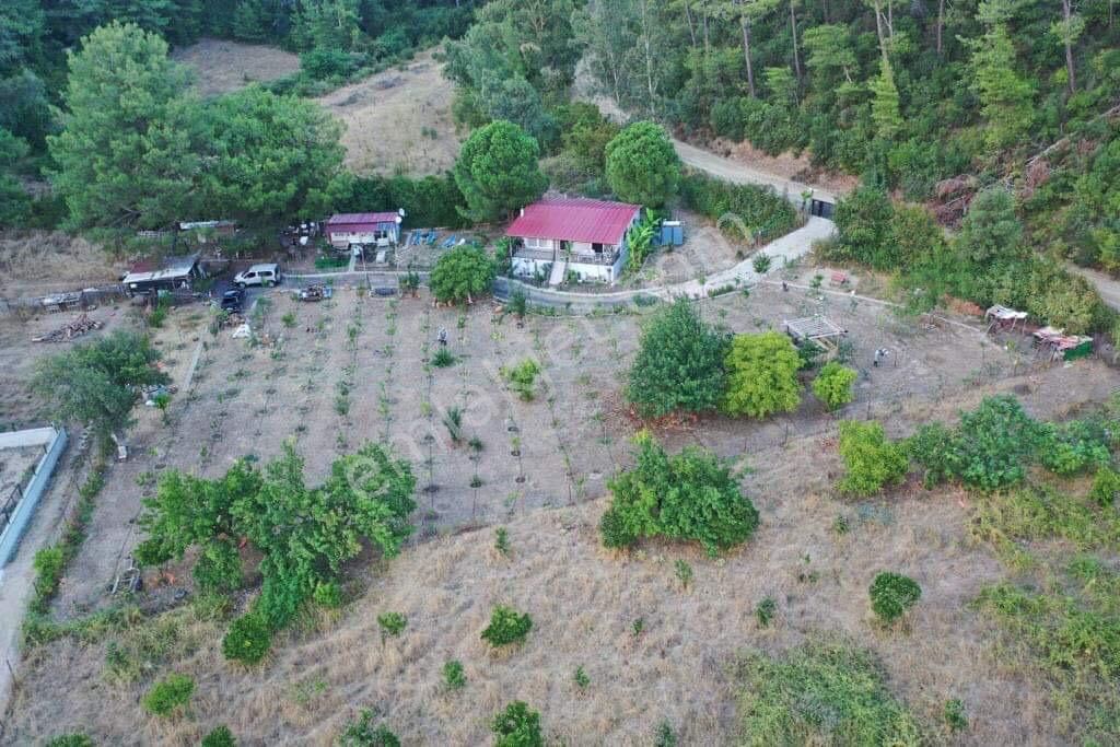 Muğla Marmaris Çamlı Köyünde 2.228m2 Satılık Tarla+ev - Görsel 4