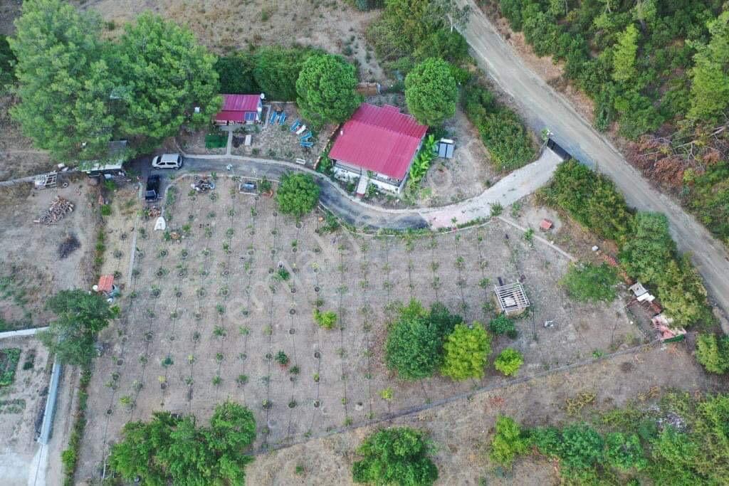 Muğla Marmaris Çamlı Köyünde 2.228m2 Satılık Tarla+ev - Görsel 6