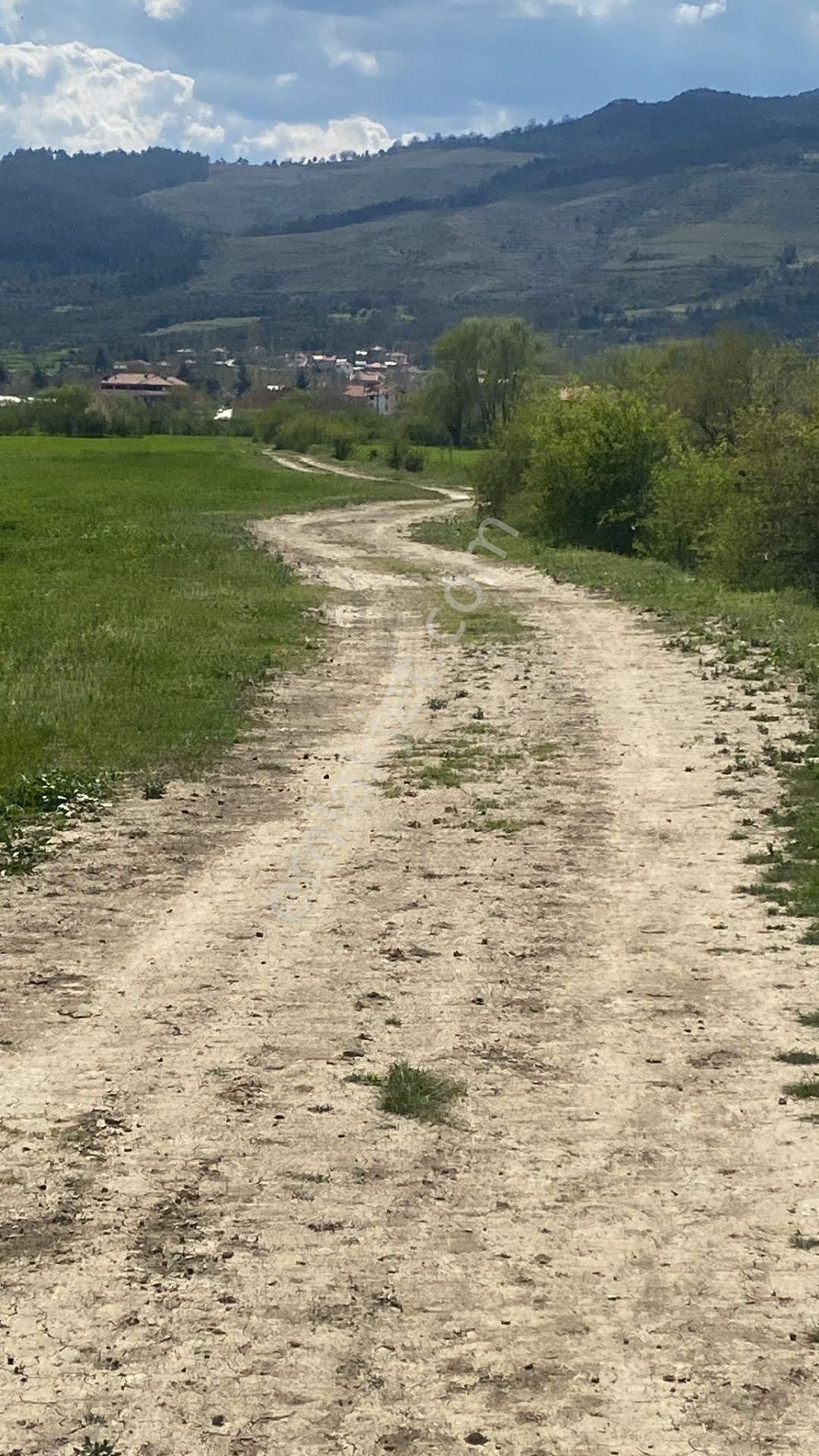 Asya Evim Gayrimenkulden Kibrit Köyünda Satılık Arazi - Görsel 26