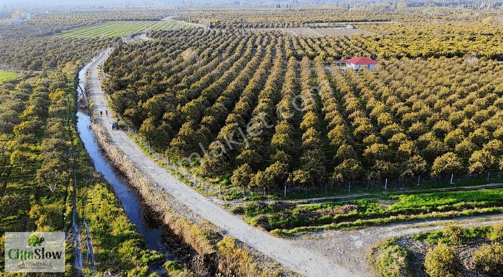 Köyceğiz Toparlar Satılık Tarla Cittaslow'dan Toparlar'da 17 Dönüm3+1 Köy Evi Venareciye Bahçesi