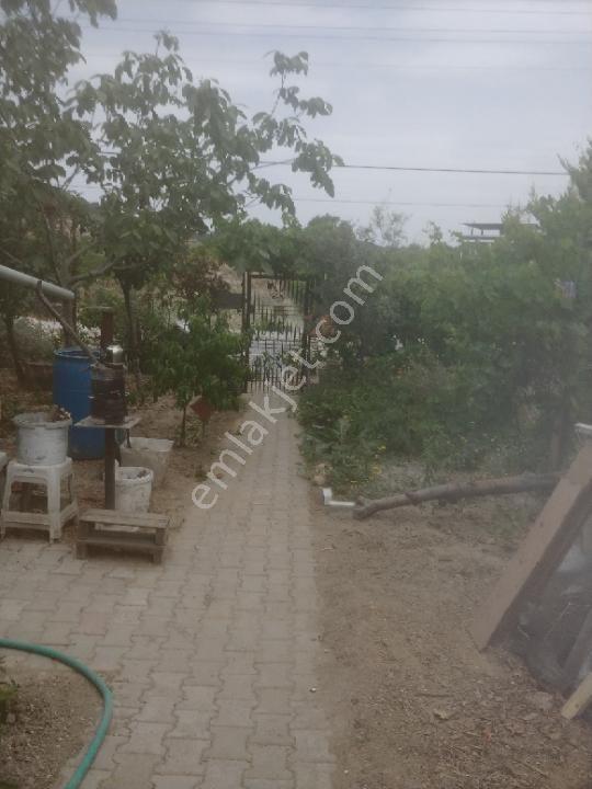 Foca Ilipinar Koyü Mustakil Bahceli Ev - Görsel 24