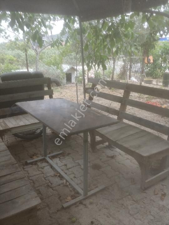 Foca Ilipinar Koyü Mustakil Bahceli Ev - Görsel 20