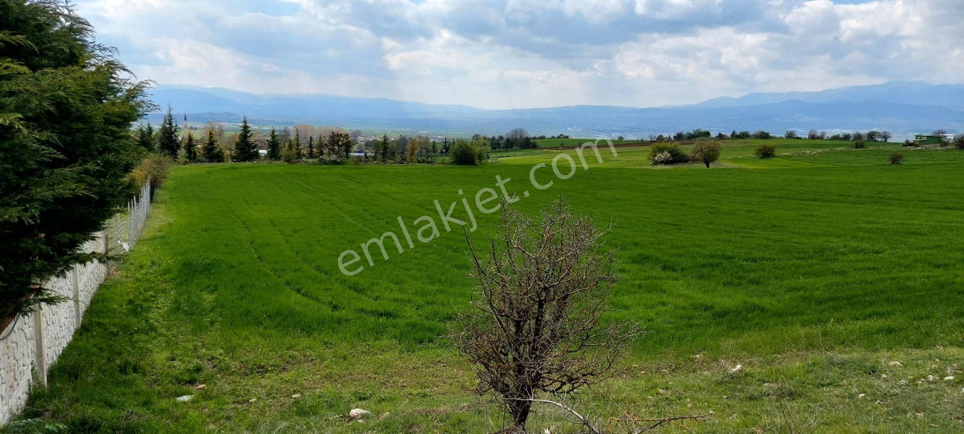 Bolu Merkez Gökpınar Köyü (Sinir) Satılık Tarla  BOLU MERKEZ GÖKPINAR'DA SATILIK 10.429 m² TARLA