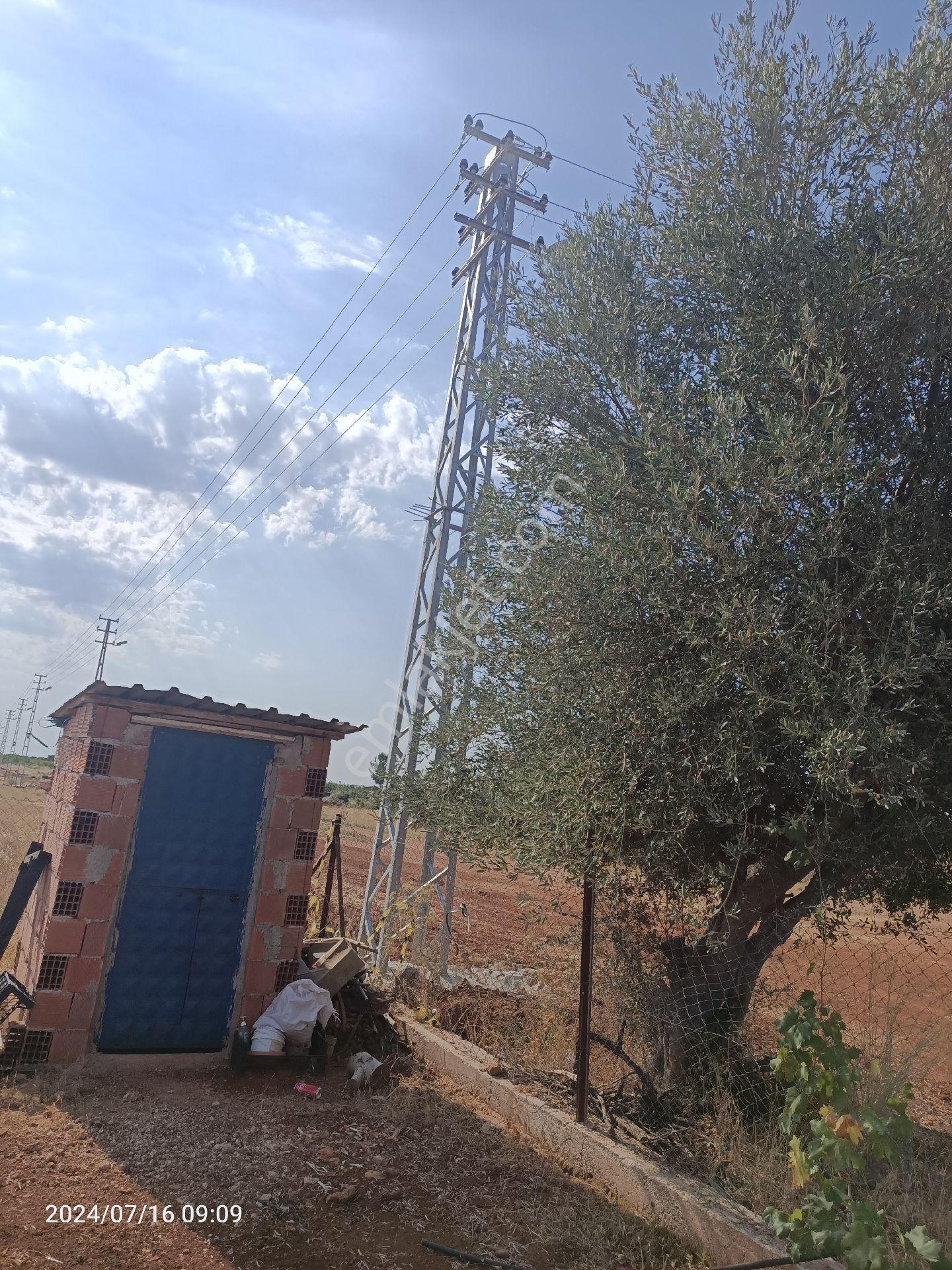 İmarlı Planlı Projeli Arsa - Görsel 8