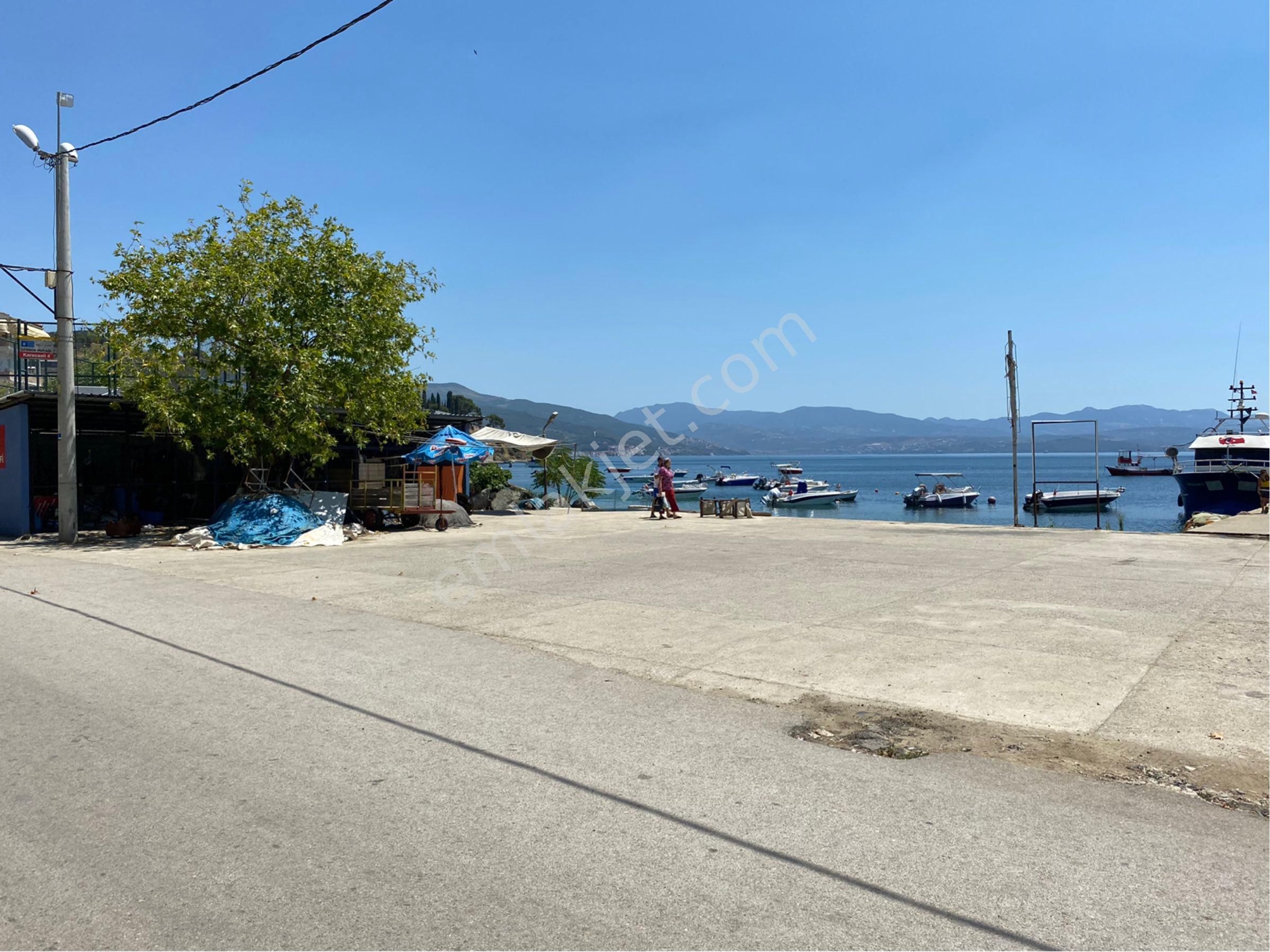 Gemlik Karacaali Satılık Zeytinlik BURSA GEMLİK KARACAALİ MAHALLE SATILIK TARLA