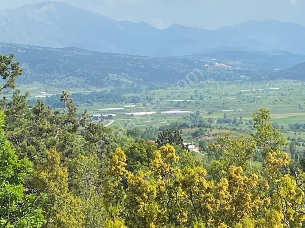 Seydikemer Çobanisa Satılık Tarla İstanbul Emlaktan Seydikemer Yayla Çobanisada Uygun Fiyatlı 1755m2 Tarla