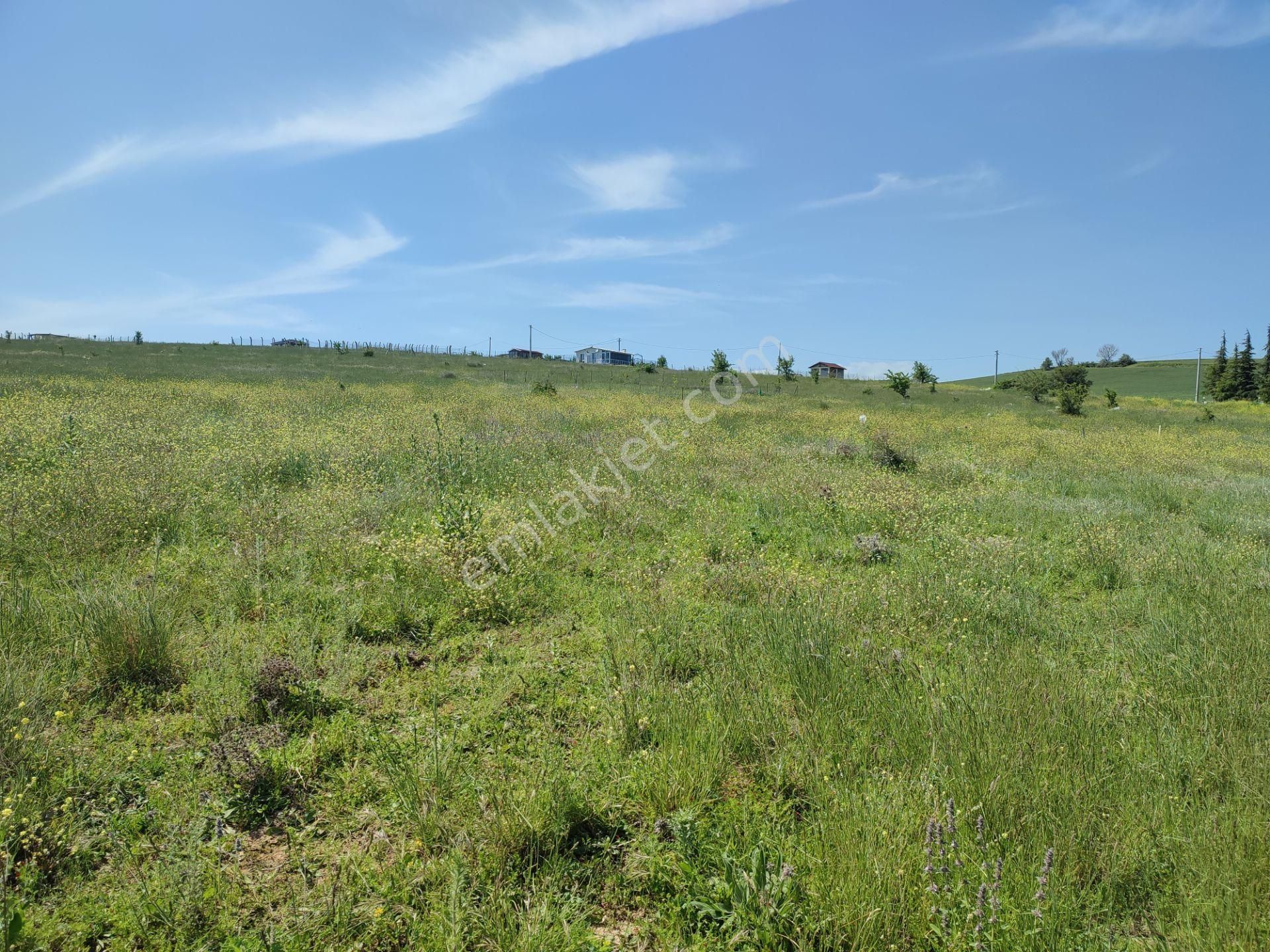 Bulut Yatırımdan 216 M² % 25 2 Villa İmarlı Deniz Manzaralı Arsa - Görsel 12
