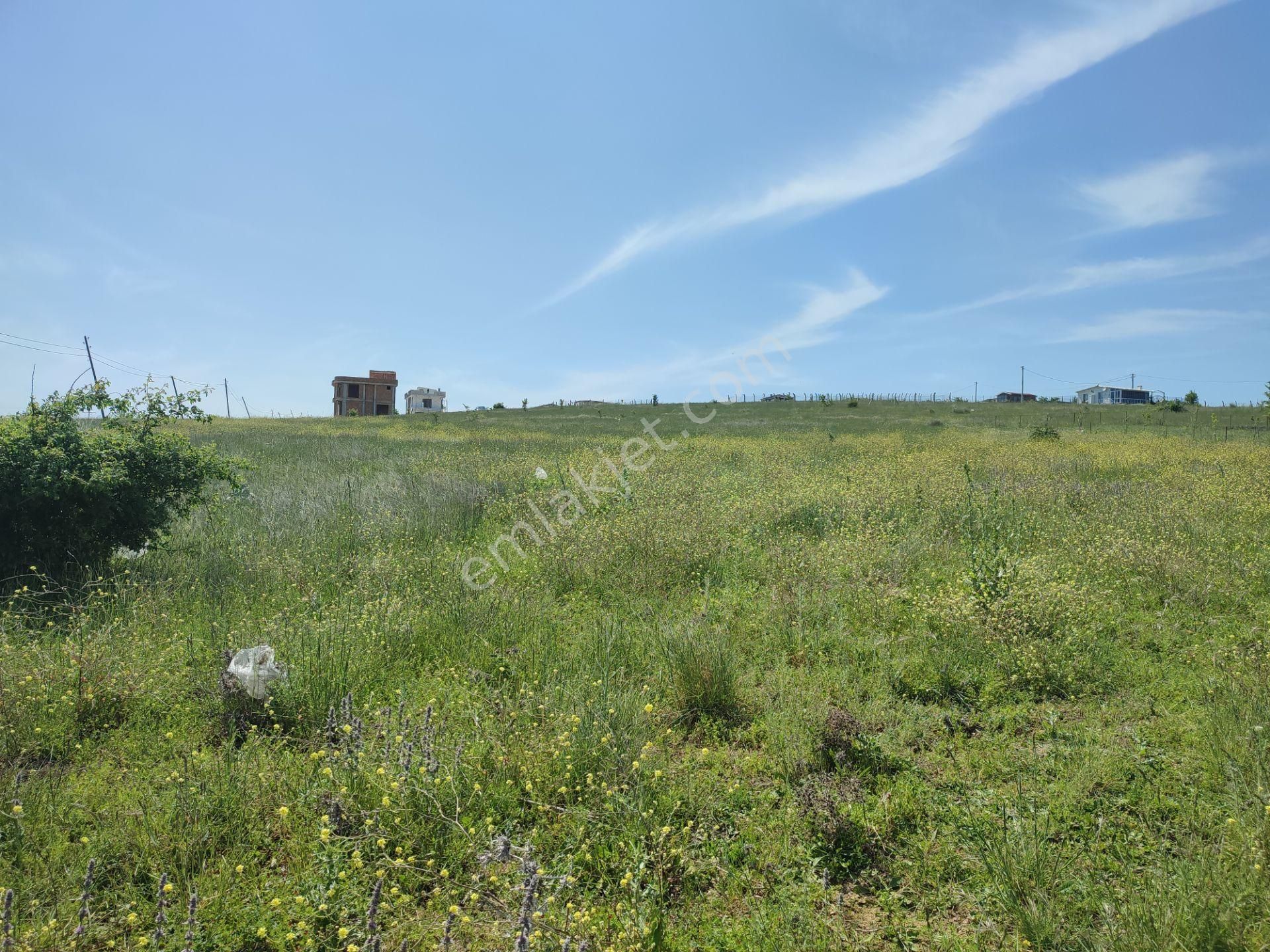 Bulut Yatırımdan 216 M² % 25 2 Villa İmarlı Deniz Manzaralı Arsa - Görsel 16