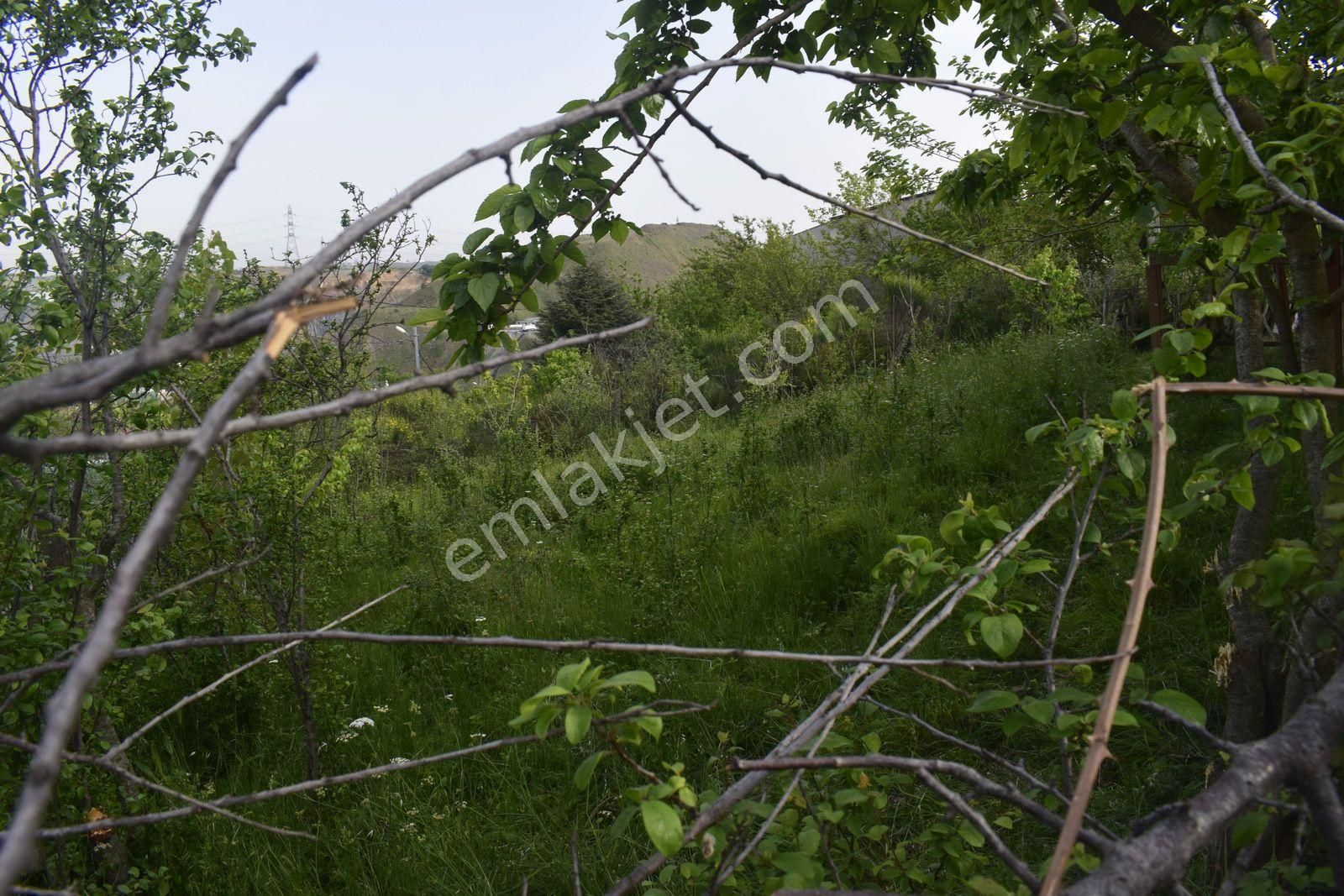 Sultangazi Yayla Satılık Tarla Yayla Mah. Hakanlar İnşaattan Satılık 319m2 Arsa