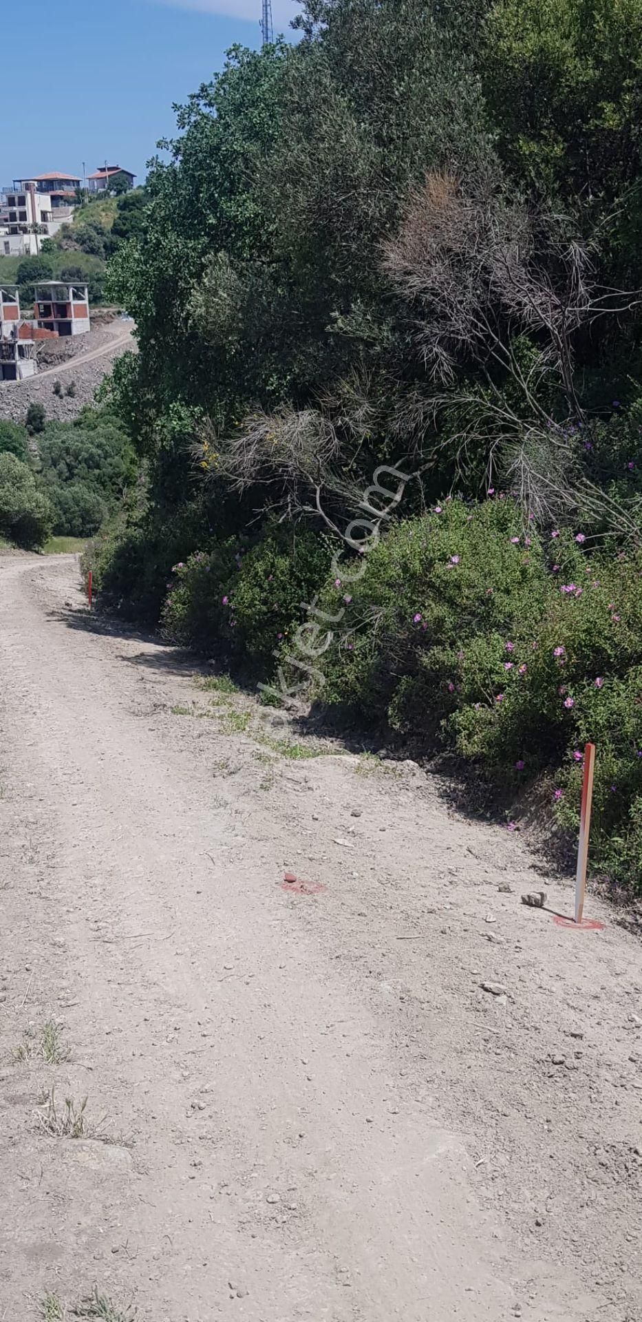 Yenifaocada Derya Emlaktan Donatkent Te 320 M2 Satılık Arsa - Görsel 7