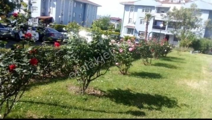 Eşyalı Eşyasız Uğur Mumcu Ortaokulu Yakını.