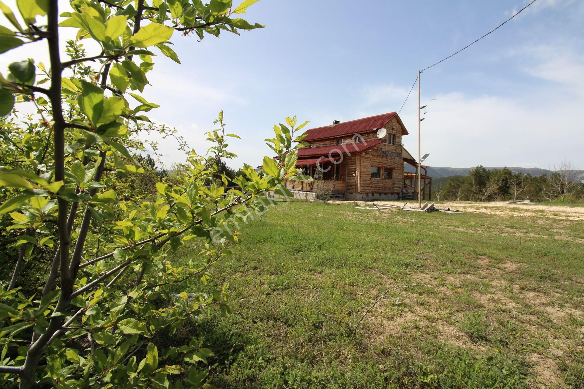 Göynük Kozcağız Köyü (Merkez) Satılık Çiftlik Evi  BOLU GÖYNÜK'TE 61 DÖNÜM CEVİZ BAHÇESİ VE MÜŞTEMİLATLI VİLLA