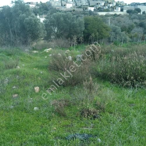 Bodrum Yalıkavak Satılık Tarla Bodrum Yalıkavak Nezih Yer Merkez Konumunda