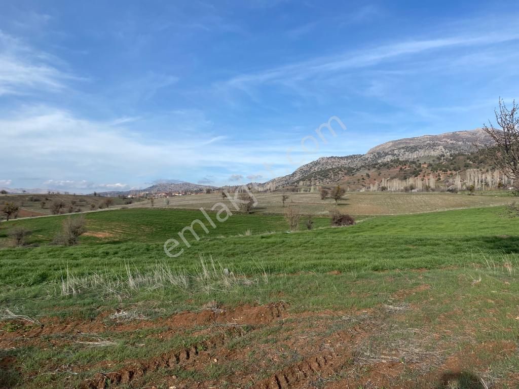 Seydikemer Doğanlar Satılık Tarla Seydikemer Yayla Doğanlarda Doğa İçinde 5679m2 Satılık Arsa