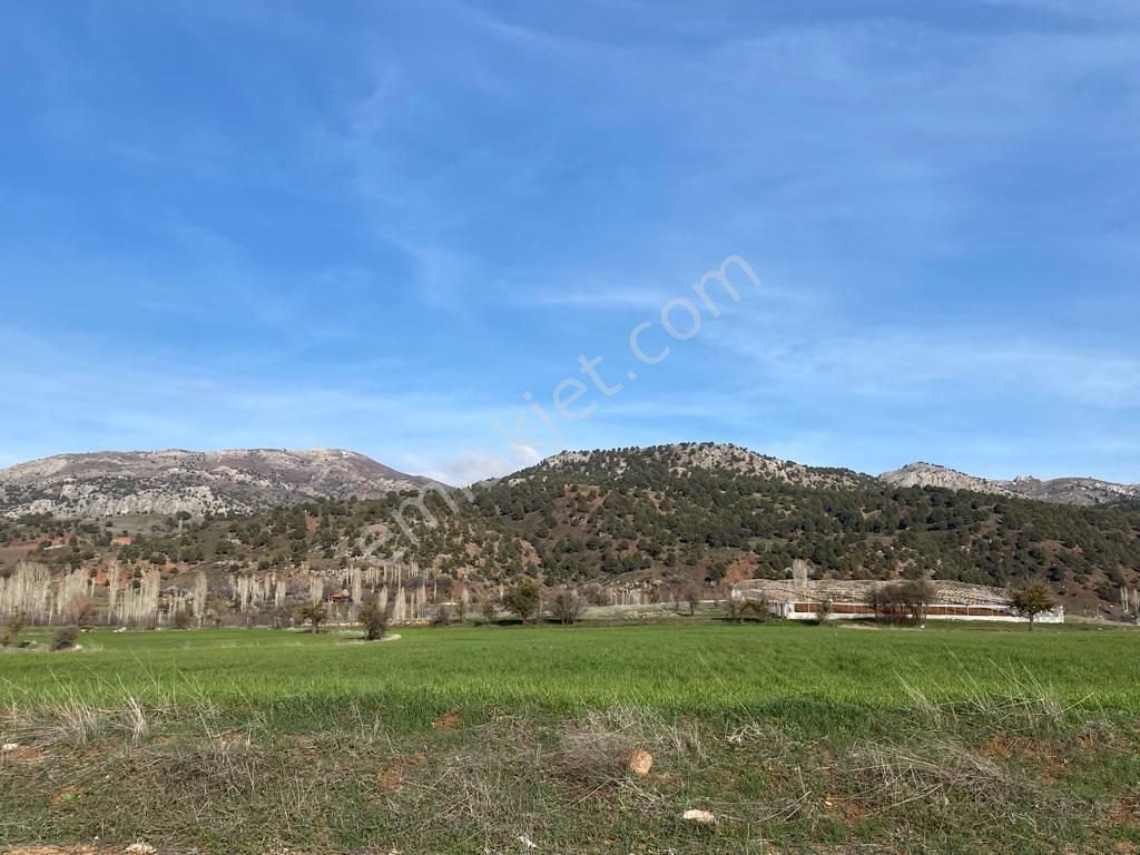 Seydikemer Yayla Doğanlarda Doğa İçinde 5679m2 Satılık Arsa - Görsel 3