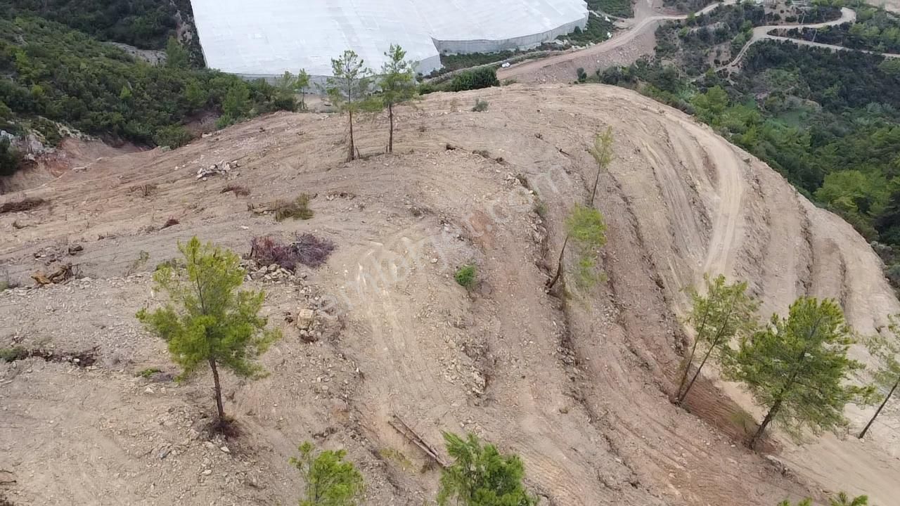 Alanya İmamlı Mahallesinde 33.000 M2 Satılık Tarla - Görsel 15
