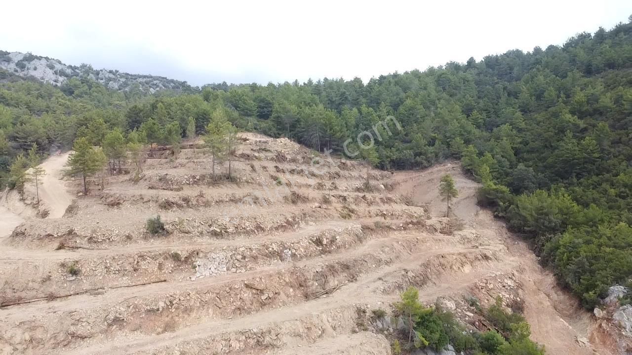 Alanya İmamlı Mahallesinde 33.000 M2 Satılık Tarla - Görsel 8