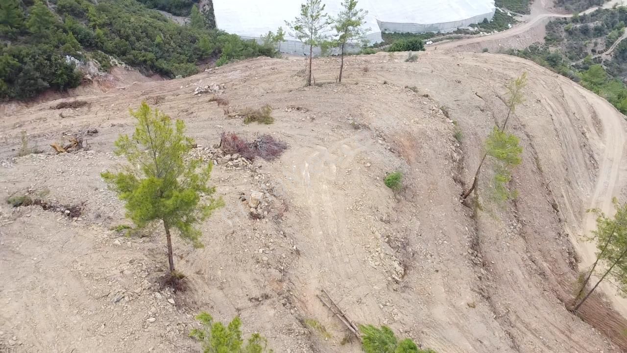 Alanya İmamlı Mahallesinde 33.000 M2 Satılık Tarla - Görsel 16