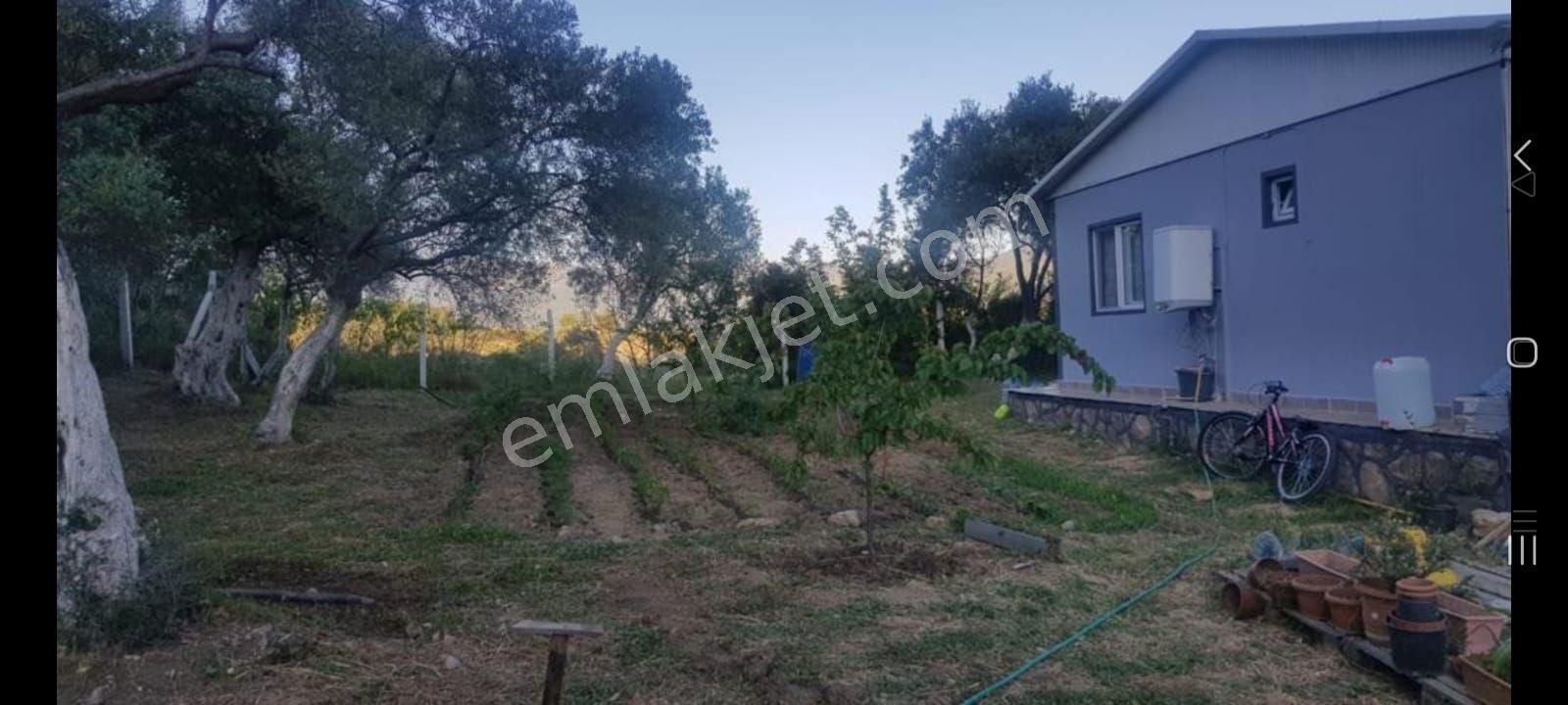 İzmir Torbalı Gold Emlaktan Satılık Harika Bahçeli Ev - Görsel 4