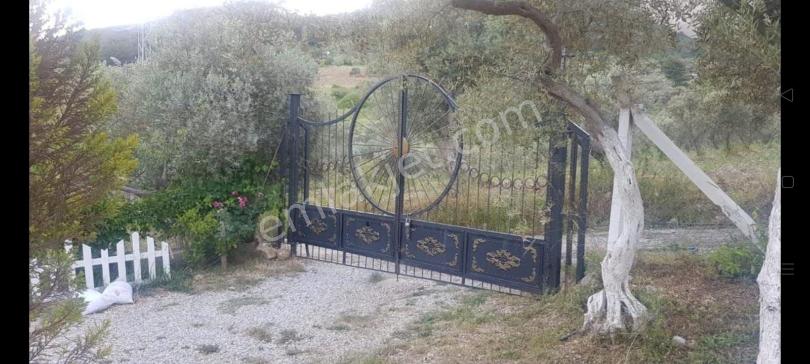 İzmir Torbalı Gold Emlaktan Satılık Harika Bahçeli Ev - Görsel 13
