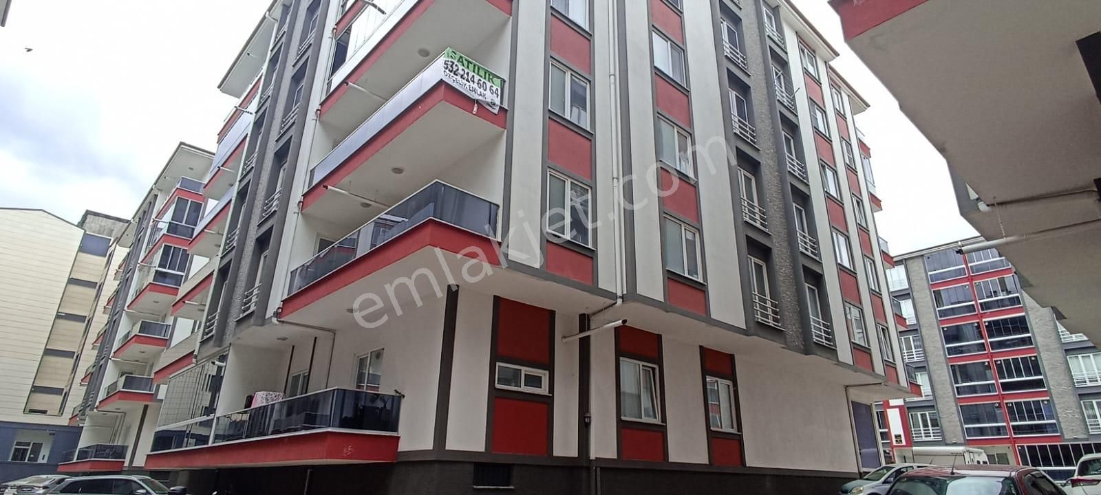 geneleve giden erkek molped ne işe yarar