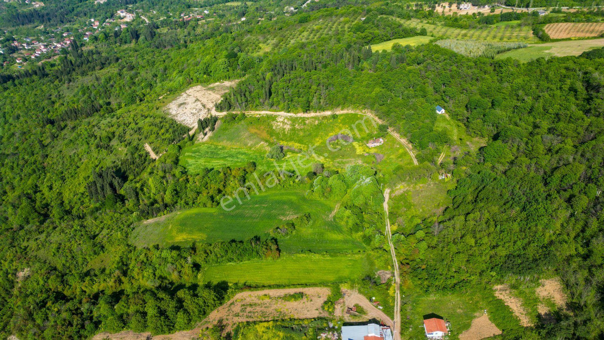 Uzmanlar'dan Kocaeli Karamürsel Karapınar'da Deniz Ve Doğa Manzaralı 27524 M2 Satılık Tarla - Görsel 7